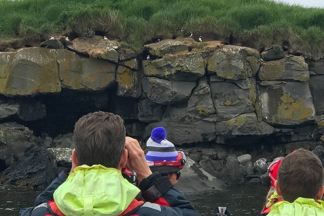 Puffin Watching Speedboat Express - A small group with real time for questions