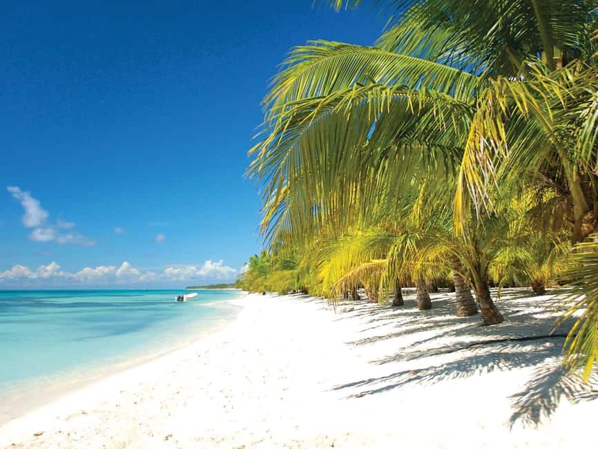 Punta Cana: Saona Island Speedboat and Catamaran Tour - Swimming at the Natural Pool and Blue Lagoon
