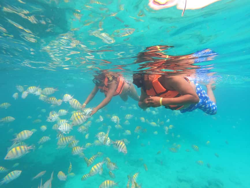 Punta Cana: Speed Boat Ride & Snorkel Adventure - Guide languages deserve a careful look