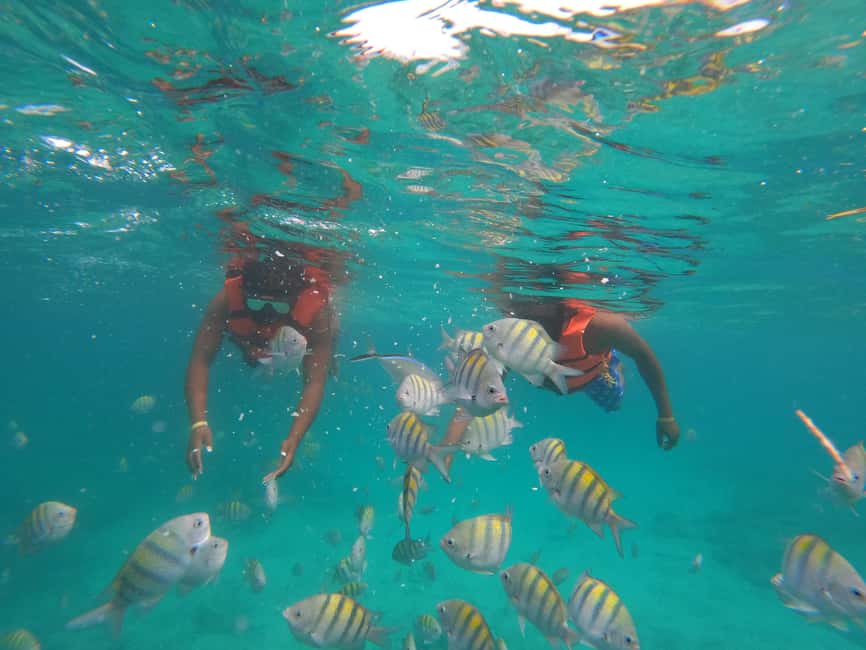 Punta Cana: Speed Boat Ride & Snorkel Adventure - Cancellation and booking flexibility
