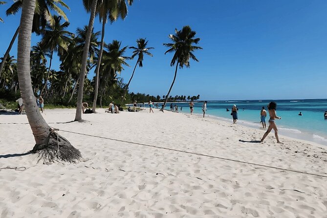 Punta Cana Speed Boat to Saona Island with Lunch & Natural Pools - A Dominican buffet lunch with mixed expectations