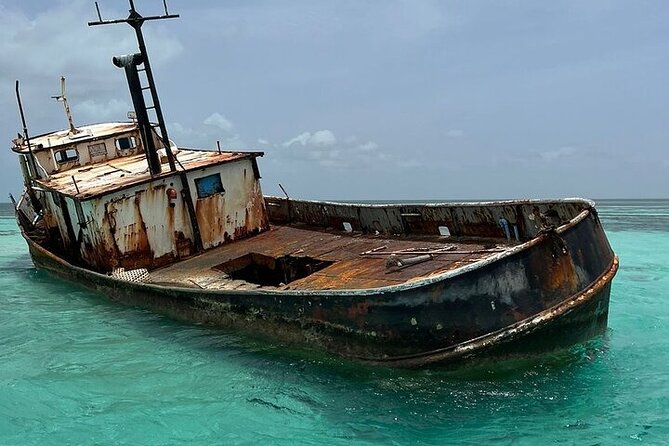 Punta Cana Speed Boat to Saona Island with Lunch & Natural Pools - What $125 really gets you