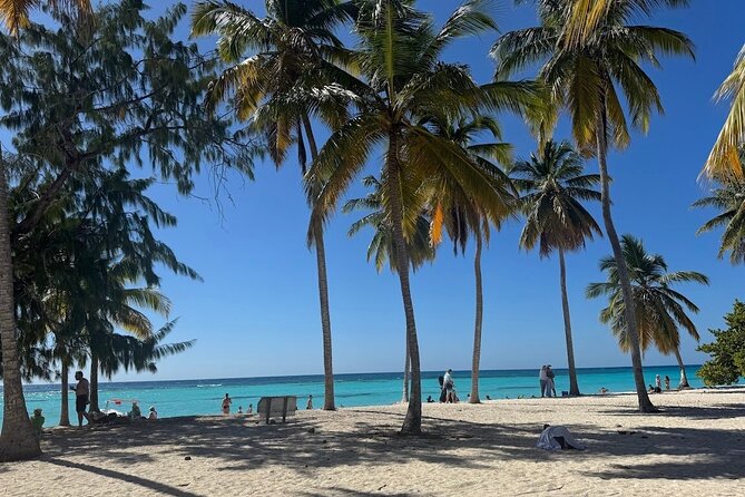 Punta Cana Speed Boat to Saona Island with Lunch & Natural Pools - Who should book this Saona excursion?