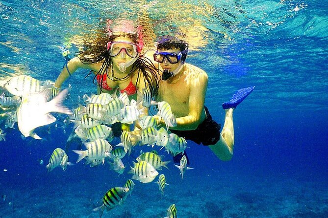 Punta Cana Speed Boat Tour and Snorkeling - A fast start from your Punta Cana hotel