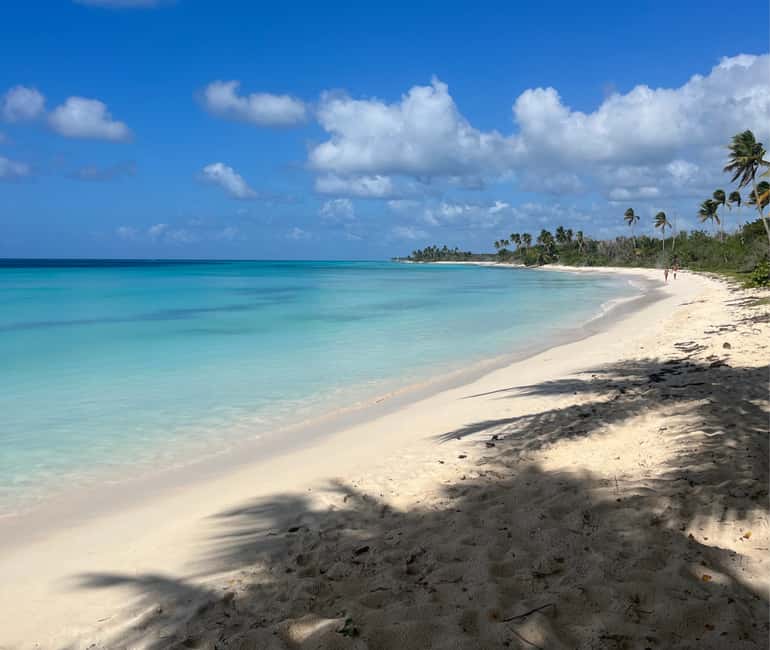 Punta Cana: VIP Private Speedboat Escape to Saona Island - Key Points At A Glance