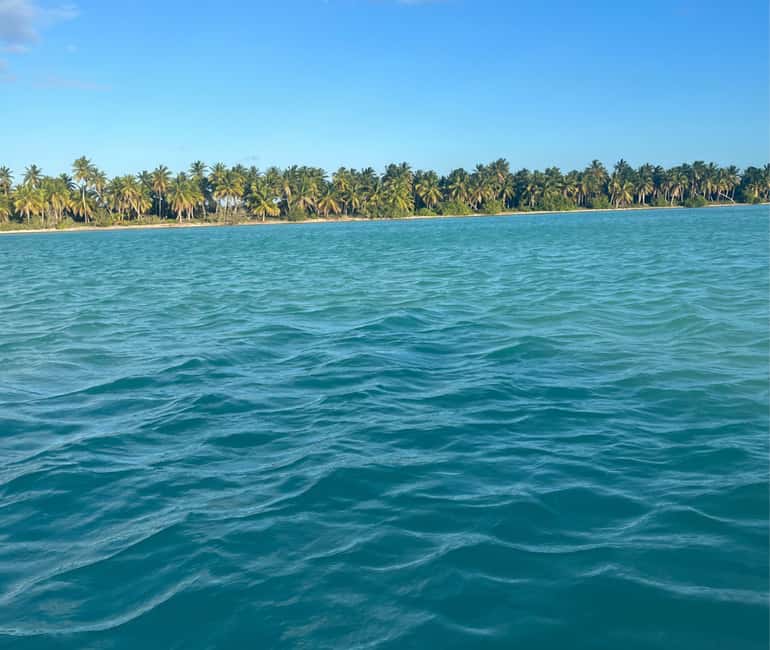 Punta Cana: VIP Private Speedboat Escape to Saona Island - Why The Private Format Matters