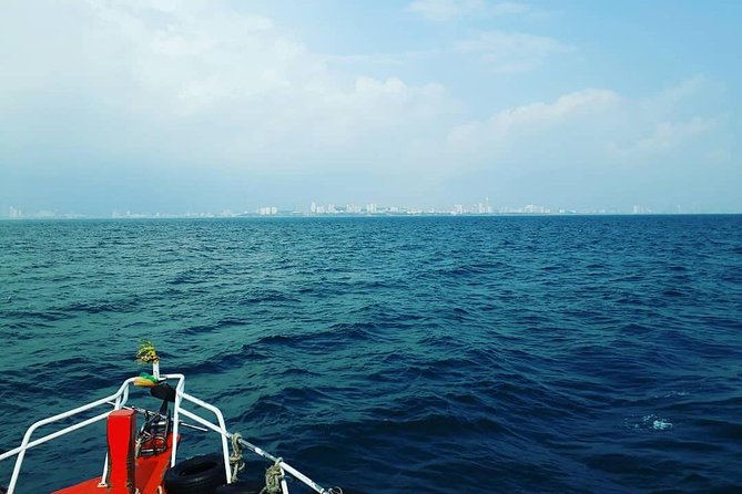 Racha & Coral Island Day Trip by Speedboat - Lunch Included - Lunch and the practical comforts