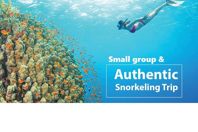 REAL snorkel &island hopping by SPEEDBOAT-EXPLORE CUISINES(MAX12) - Getting to An Thoi and Onto the Boat