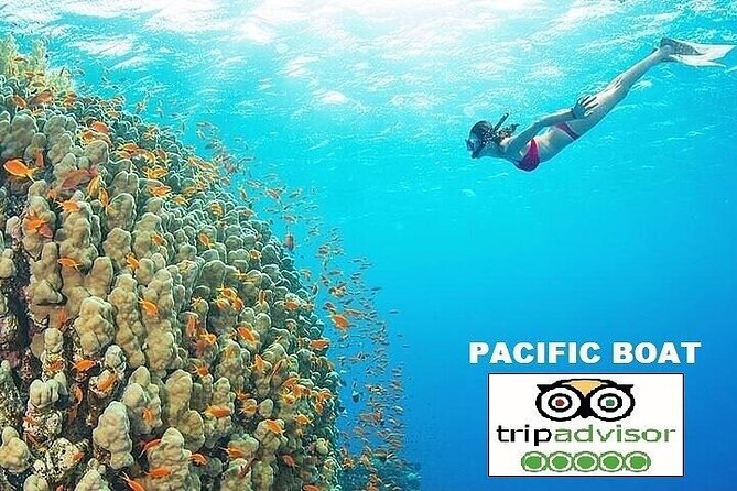 Real snorkel trip by speedboat with small group on Cham island - Dai Island gives you the first hour in the water