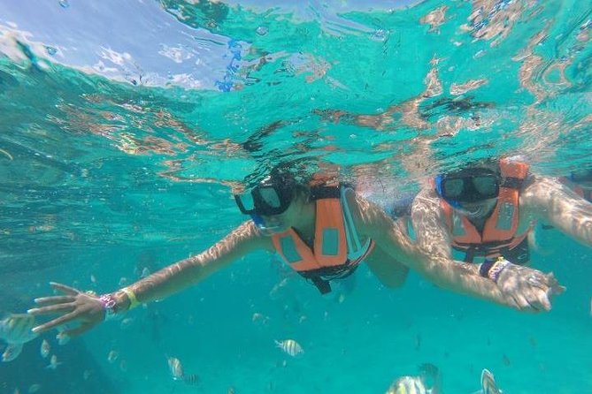 Reef Snorkeling & Jungle Speedboat Adventure with Mayan Ceremony - How good is the $59 value?