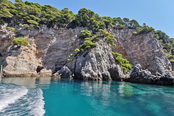 Rent a luxury speed boat for great fun on this Elaphiti Islands tour - Šipan: village life in Suđurađ