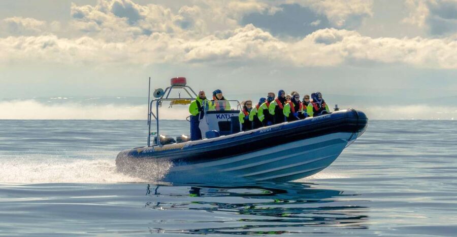 Reykjavík: RIB Speed-Boat Puffin Watching Tour - What the puffin watching is really like