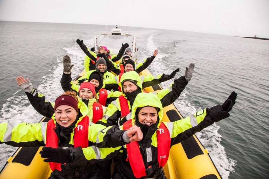 Reykjavik: Whale Watching by RIB Speedboat - Key points to know before you book