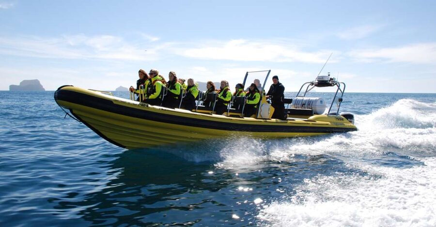 Reykjavik: Whale Watching by RIB Speedboat - Leaving Reykjavík’s Old Harbor in a 12-seat RIB