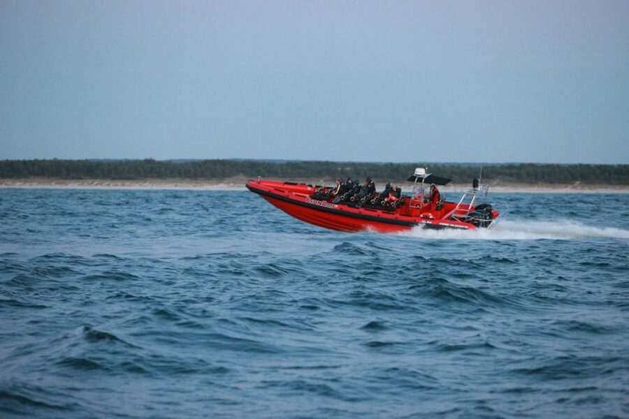 Reykjavik: Whale Watching by RIB Speedboat - Why the RIB feels different from a large whale boat