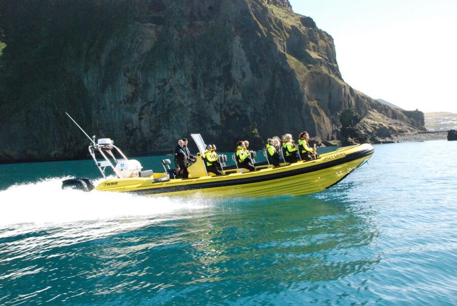 Reykjavik: Whale Watching by RIB Speedboat - Who should book this RIB tour?