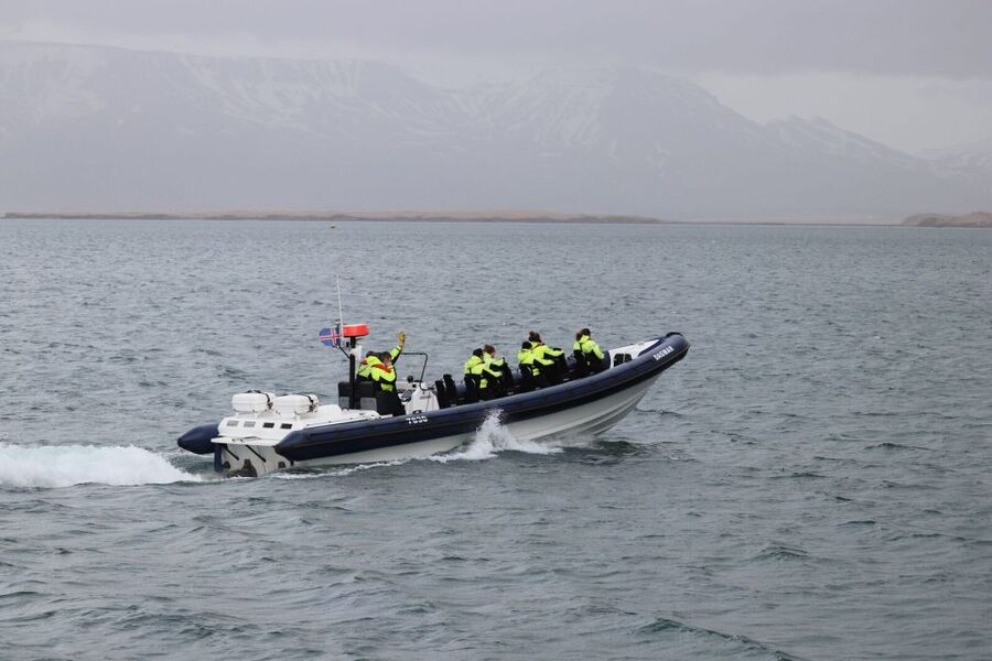 Reykjavik: Whale Watching Tour by RIB Boat - How to get the most from the two hours
