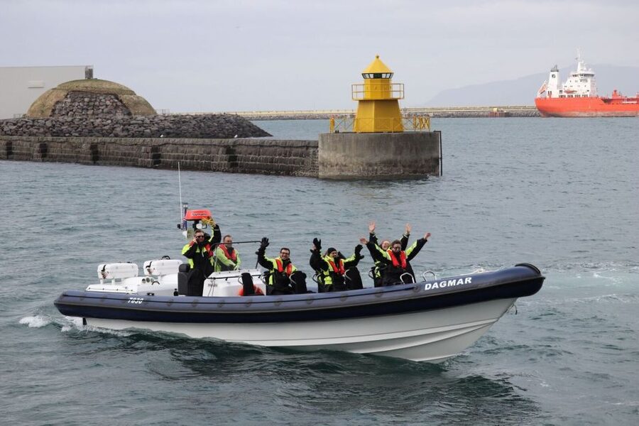 Reykjavik: Whale Watching Tour by RIB Boat - Who should book this RIB tour?