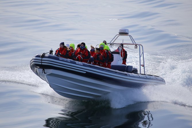 RIB boat express: Whales, Eyjafjord and Akureyri - How the $192.66 price measures up