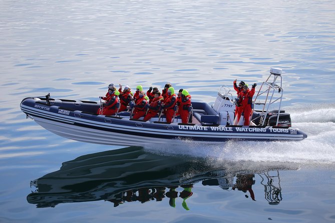 RIB Whale Watching Small-Group Boat Tour from Reykjavik - The return route past Reykjavik’s waterfront