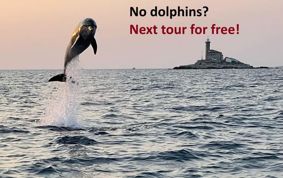 Rovinj: Dolphin Watching Sunset Speedboat Tour with Drinks - Why the small speedboat changes the experience