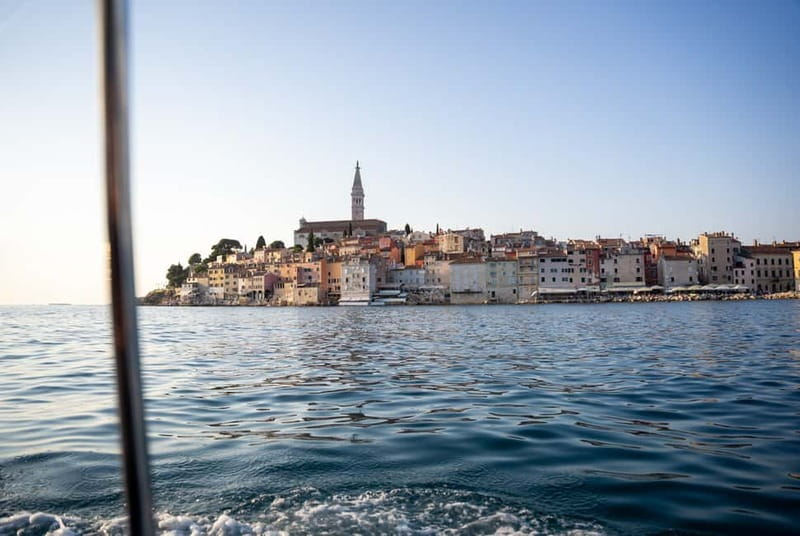 Rovinj: Dolphin Watching Sunset Speedboat Tour with Drinks - Is $74 good value for 90 minutes?