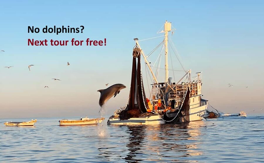 Rovinj: Sunrise Dolphins & Fishermen at Work Speedboat Tour - Why this Rovinj dolphin tour feels different