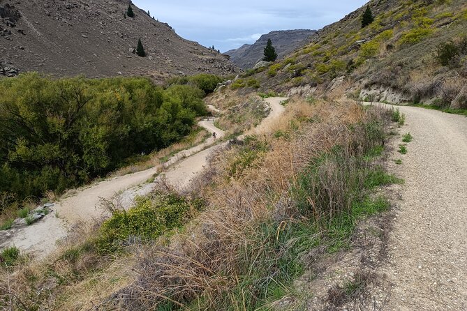 Roxburgh Gorge Bike Hire with Jet Boat & Return Shuttle Included - Why the Roxburgh Gorge route is worth your day