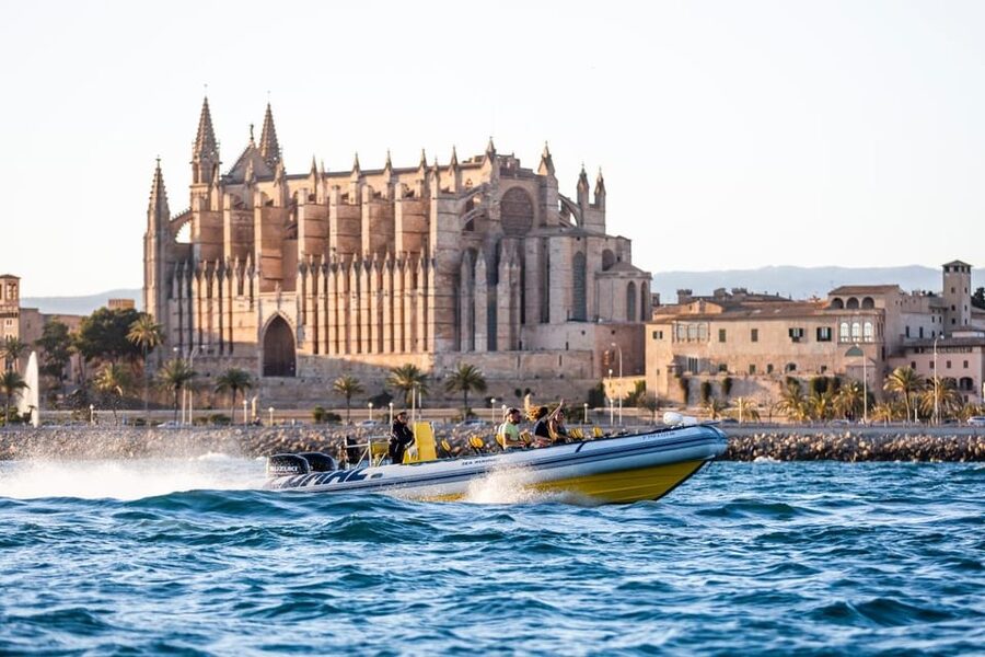 S'Arenal: Boat trip to Illetas with views of Palma - Who will enjoy this trip most?