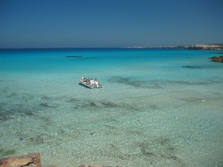 S'Espalmador and Formentera: Snorkeling Trip by RIB Boat - Who will enjoy this trip most
