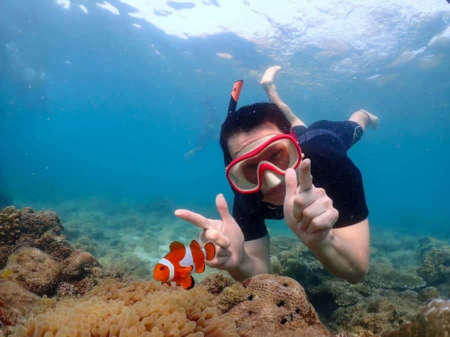 Samaesarn : Finding Nemo Snorkeling Tour Private speedboat - Key points to know before you book