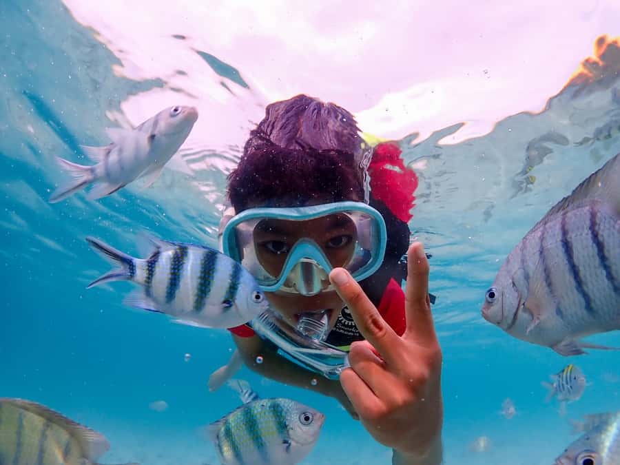 Samaesarn : Finding Nemo Snorkeling Tour Private speedboat - Leaving Pattaya for Samaesarn’s reefs