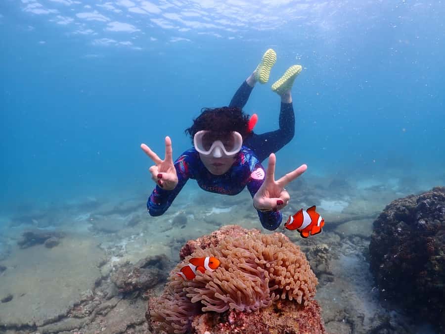 Samaesarn : Finding Nemo Snorkeling Tour Private speedboat - Three hours on a private speedboat