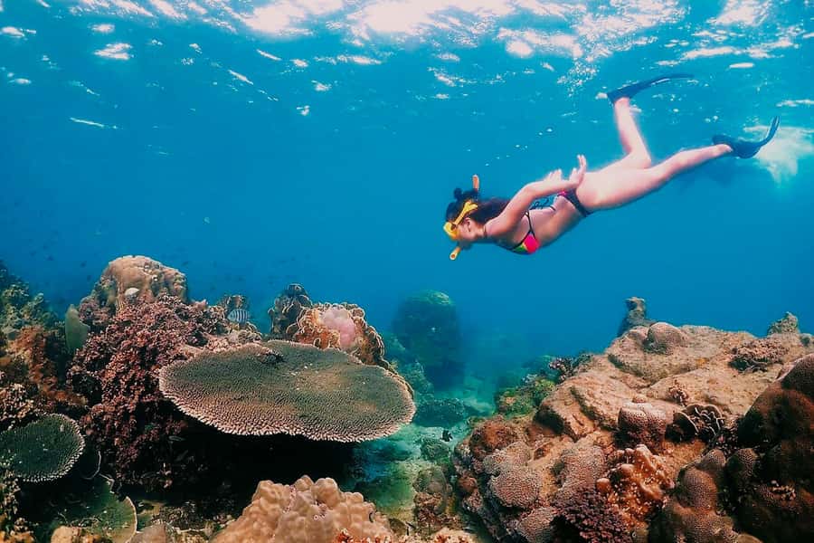 Samaesarn : Finding Nemo Snorkeling Tour Private speedboat - Photos, safety, and the crew’s role