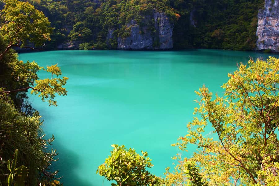 Samui: Angthong National Marine Park Day Trip by Speedboat - The main viewpoint and its 450-meter climb