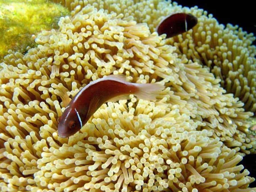 Samui: Angthong National Marine Park Day Trip by Speedboat - Crowding, comfort, and the speedboat question
