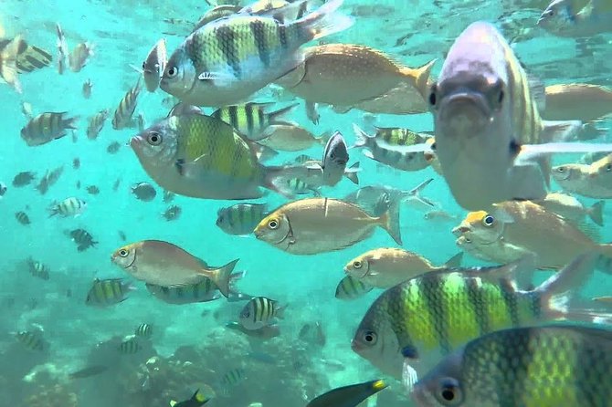 Samui Boat Charter, Private Speedboat Charter, Angthong National Marine Park - Coastal cruising through Angthong Marine Park