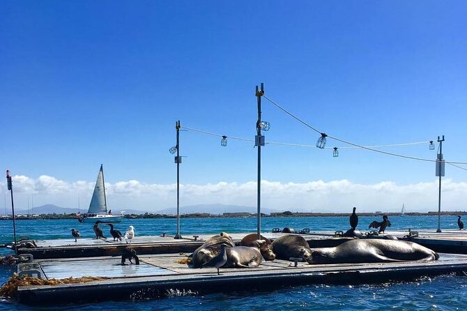San Diego Harbor Speed Boat Adventure - Historic ships at the San Diego Maritime Museum
