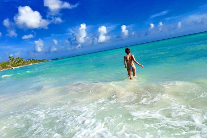 Saona by Speedboat: Private Beach & Snorkeling – Small Group - Snorkeling in clear water with provided equipment