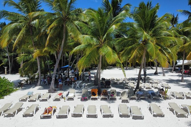 Saona by Speedboat: Private Beach & Snorkeling – Small Group - Saona’s beach, set up for a slower afternoon