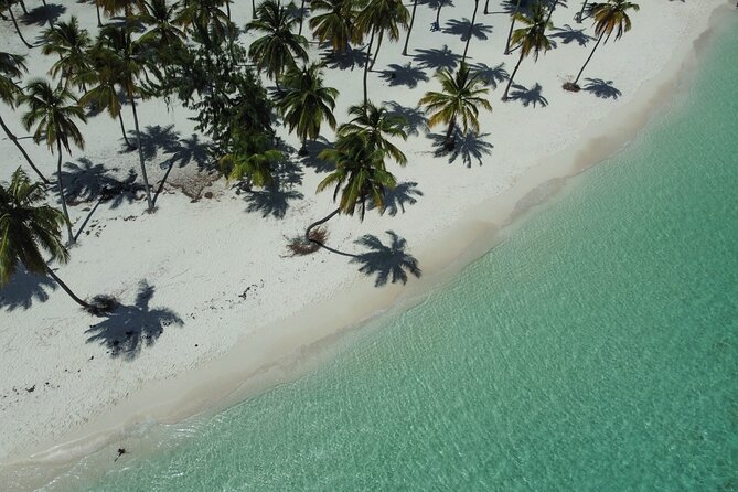 Saona by Speedboat: Private Beach & Snorkeling – Small Group - The natural pool and its starfish