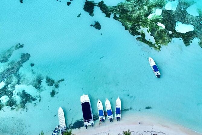 Saona by Speedboat: Private Beach & Snorkeling – Small Group - Dominican lunch and an open bar