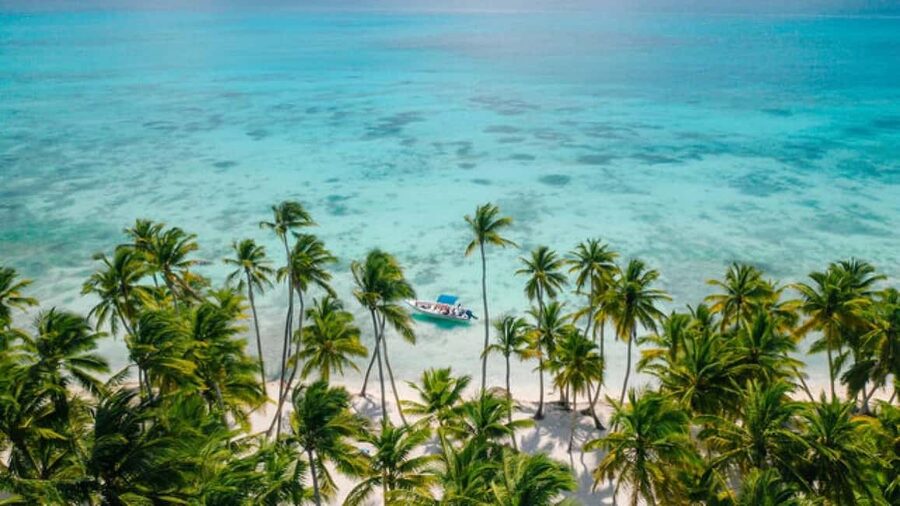Saona Island: Catamaran/Speedboat Tour to a Dream Beach - Why Saona Island makes a strong day trip