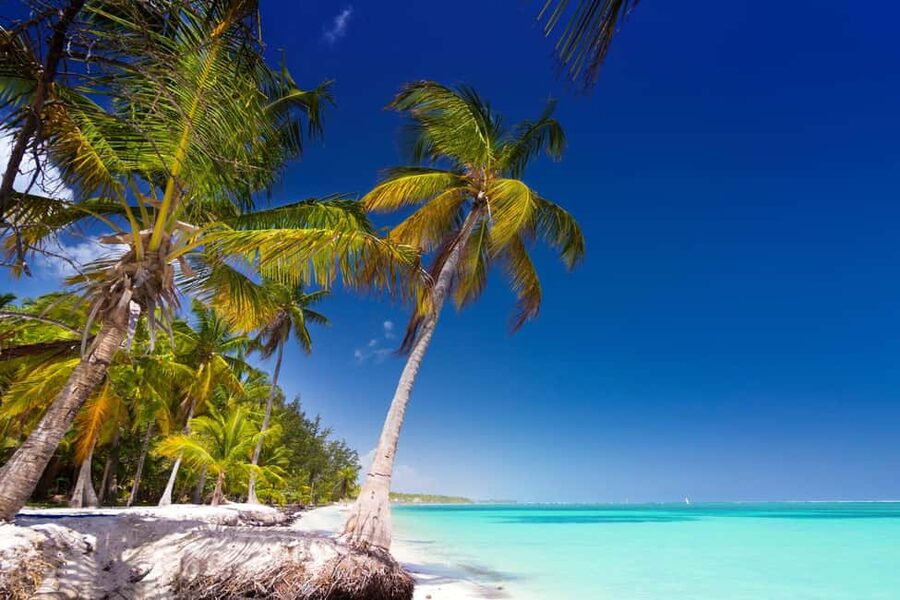 Saona Island: Catamaran/Speedboat Tour to a Dream Beach - Saona Island: 2.5 hours on the beach