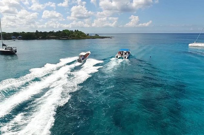 Saona Island Excursion by Catamaran and Speedboat - The real value of $95