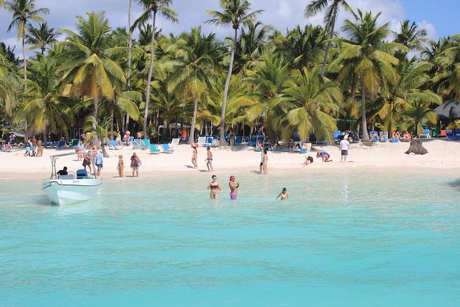 Saona Island Excursion by Catamaran and Speedboat - Starting at 7:30 am from Punta Cana