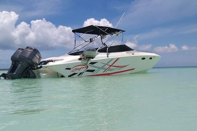 Saona island - Private Tour with a Luxury Speed Boat - Pickup From Bayahibe and Dominicus