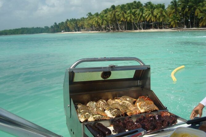 Saona island - Private Tour with a Luxury Speed Boat - Saona Island Gives You Two Hours to Slow Down