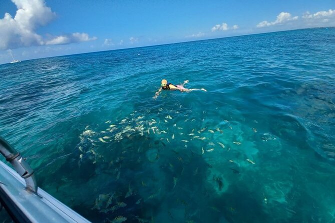 Saona island - Private Tour with a Luxury Speed Boat - Las Palmillas Natural Pools and Starfish