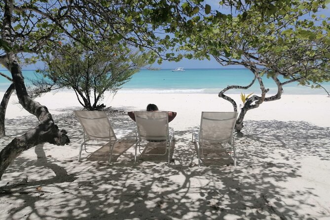 Saona island - Private Tour with a Luxury Speed Boat - Drinks, Snacks, and the Confusing Lunch Information